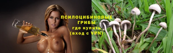 прущий лед Богородицк