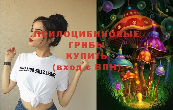 прущий лед Богородицк