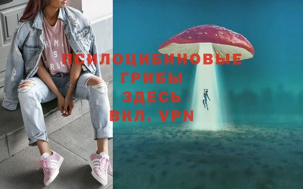 спайс Богородск
